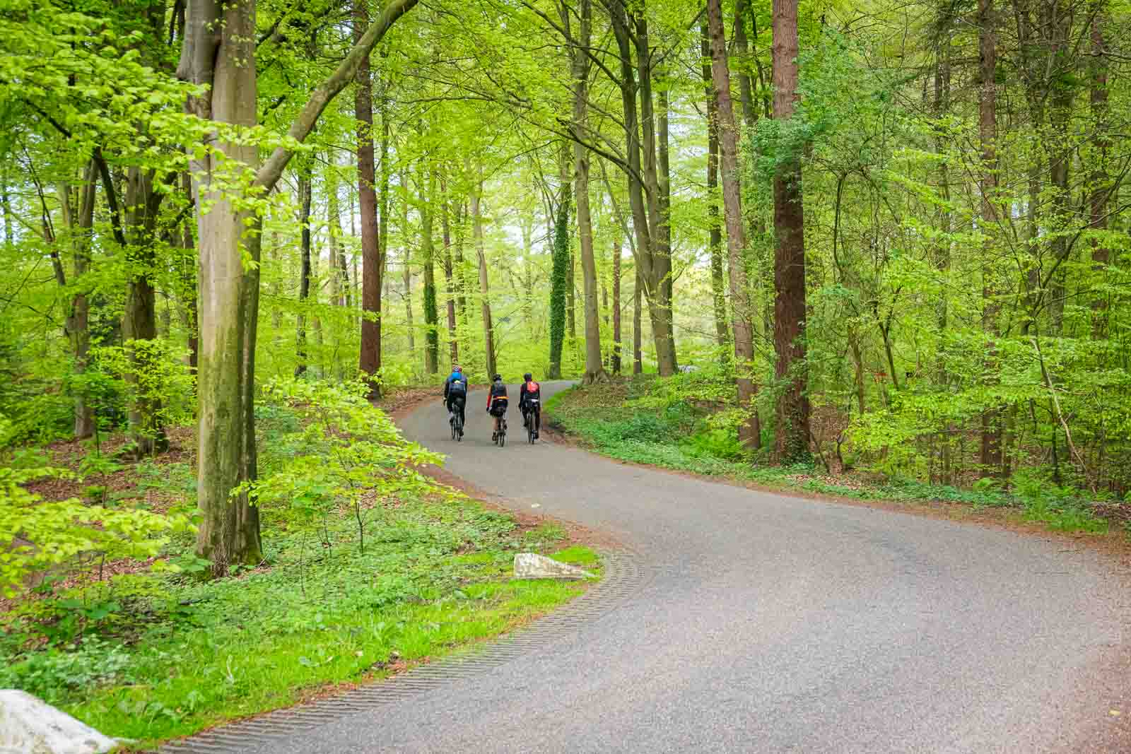 Tre ciclisti che pedalano fianco a fianco su una strada nella foresta